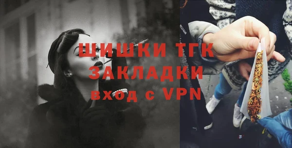тгк Новозыбков