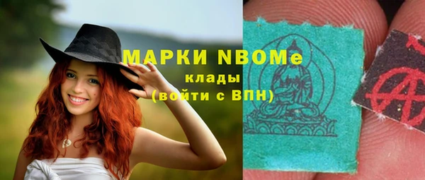 твердый Новодвинск